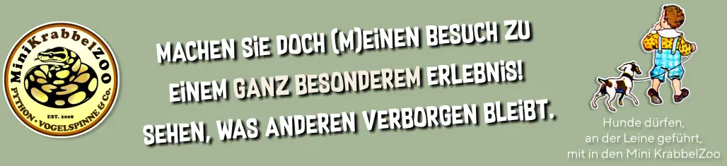 Hunde dürfen, an der Leine geführt, mit in den Mini KrabbelZoo