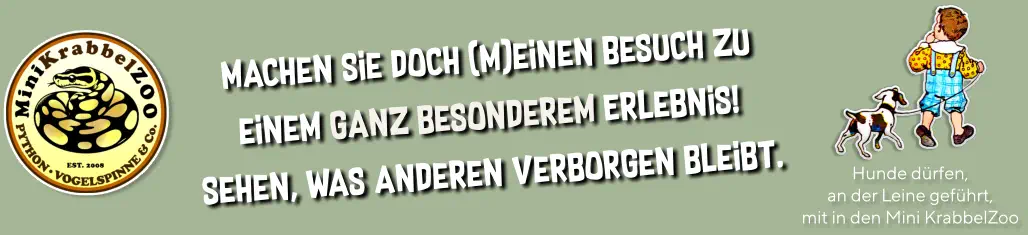 Hunde dürfen, an der Leine geführt, mit in den Mini KrabbelZoo