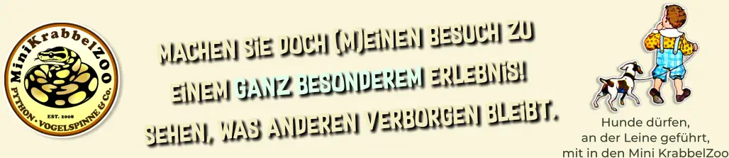 Hunde dürfen, an der Leine geführt, mit in den Mini KrabbelZoo