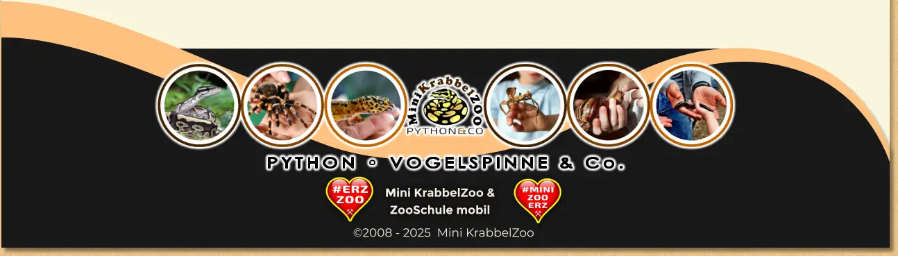PYTHON • VOGELSPINNE & Co. Mini KrabbelZoo & ZooSchule mobil ©2008 - 2025  Mini KrabbelZoo