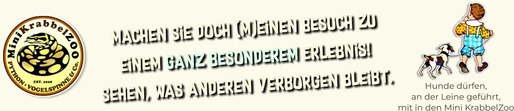 Hunde dürfen, an der Leine geführt, mit in den Mini KrabbelZoo