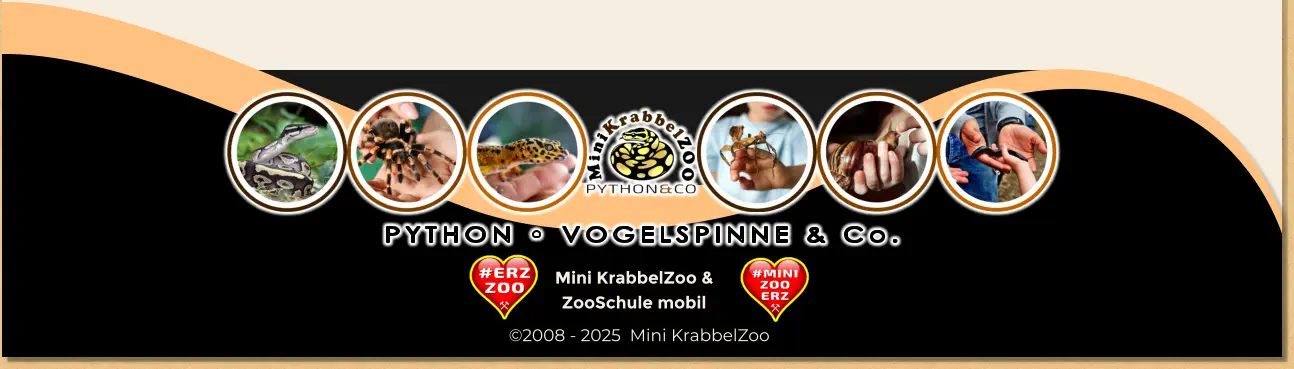 PYTHON • VOGELSPINNE & Co. Mini KrabbelZoo & ZooSchule mobil ©2008 - 2025  Mini KrabbelZoo