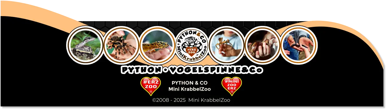 PYTHON & CO Mini KrabbelZoo ©2008 - 2025  Mini KrabbelZoo