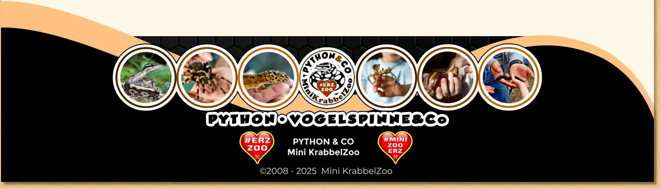 PYTHON & CO Mini KrabbelZoo ©2008 - 2025  Mini KrabbelZoo