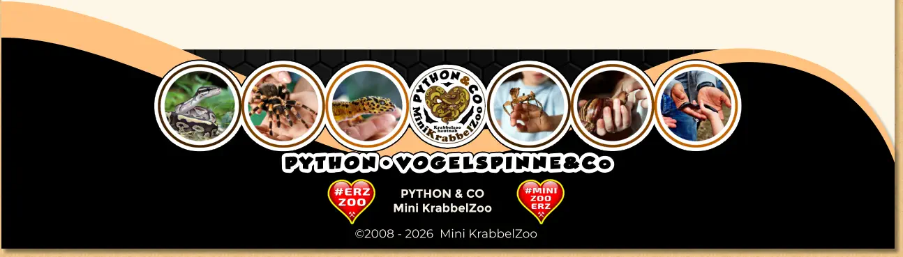 PYTHON & CO Mini KrabbelZoo ©2008 - 2026  Mini KrabbelZoo