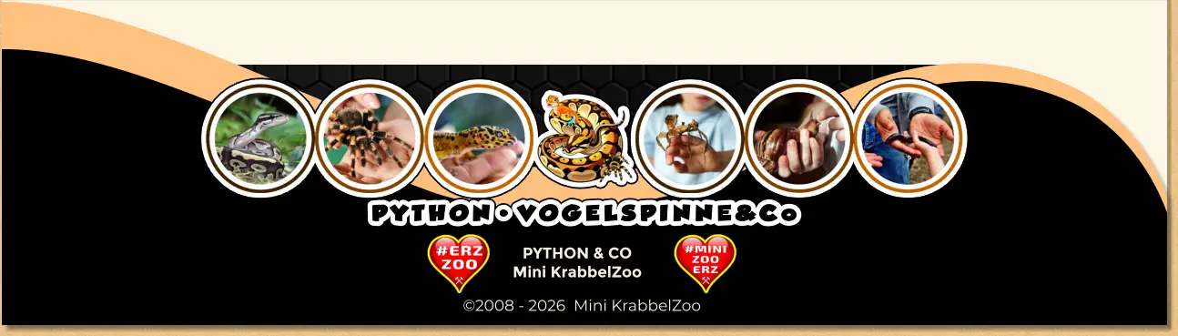 PYTHON & CO Mini KrabbelZoo ©2008 - 2026  Mini KrabbelZoo