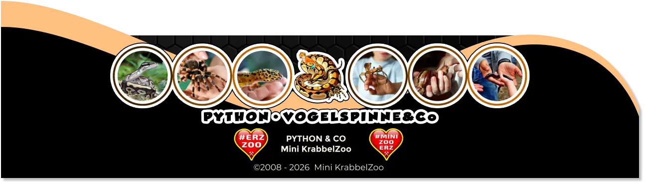 PYTHON & CO Mini KrabbelZoo ©2008 - 2026  Mini KrabbelZoo
