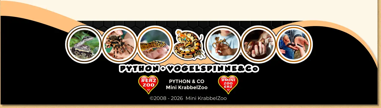 PYTHON & CO Mini KrabbelZoo ©2008 - 2026  Mini KrabbelZoo