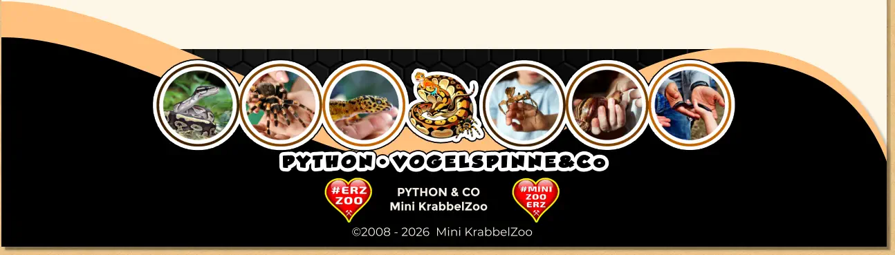 PYTHON & CO Mini KrabbelZoo ©2008 - 2026  Mini KrabbelZoo