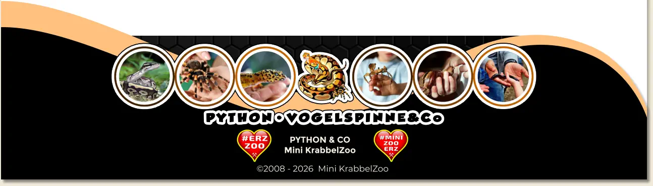 PYTHON & CO Mini KrabbelZoo ©2008 - 2026  Mini KrabbelZoo