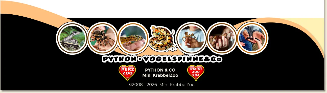 PYTHON & CO Mini KrabbelZoo ©2008 - 2026  Mini KrabbelZoo