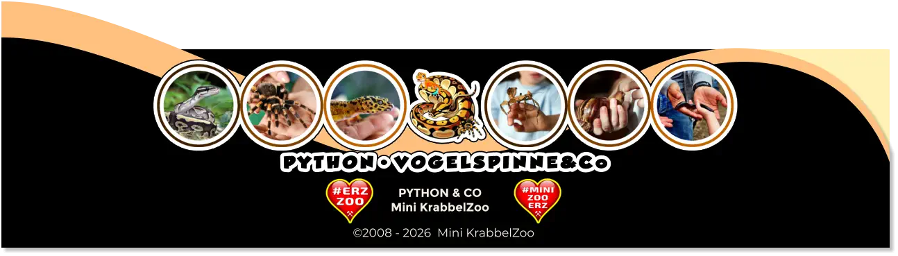 PYTHON & CO Mini KrabbelZoo ©2008 - 2026  Mini KrabbelZoo