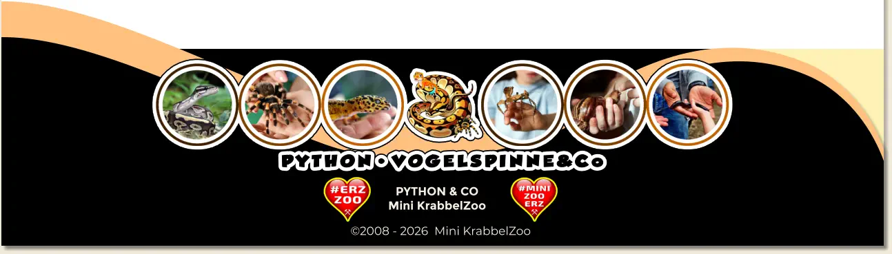 PYTHON & CO Mini KrabbelZoo ©2008 - 2026  Mini KrabbelZoo
