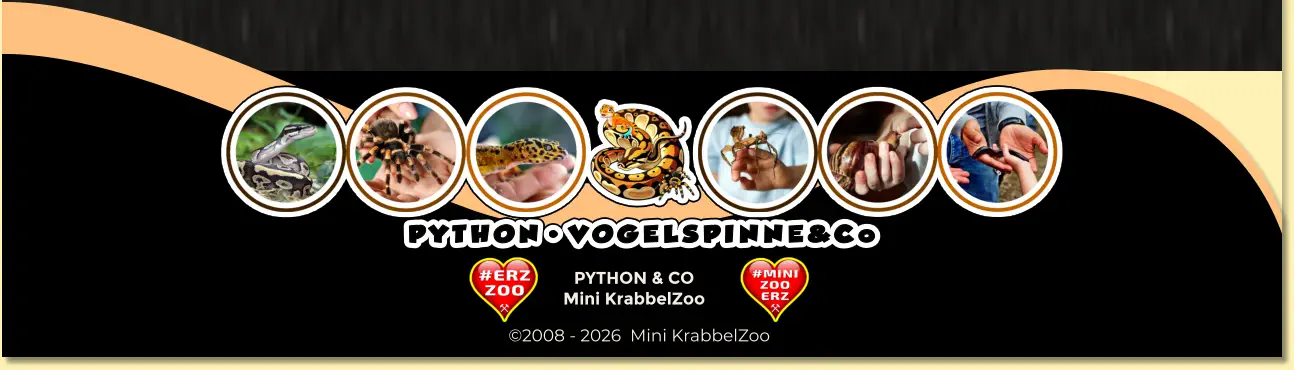 PYTHON & CO Mini KrabbelZoo ©2008 - 2026  Mini KrabbelZoo