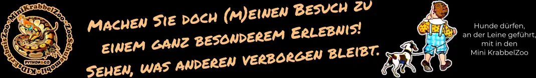 Hunde dürfen, an der Leine geführt, mit in den Mini KrabbelZoo