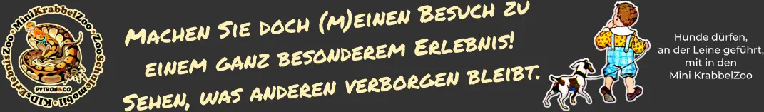Hunde dürfen, an der Leine geführt, mit in den Mini KrabbelZoo