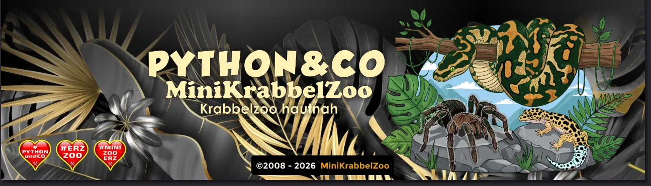 ©2008 - 2026  MiniKrabbelZoo PYTHON&CO MiniKrabbelZoo Krabbelzoo hautnah
