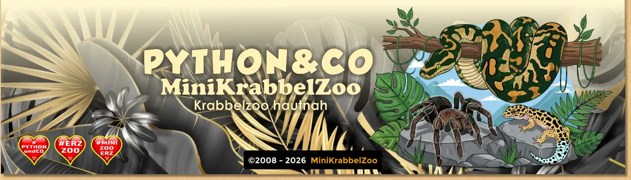 ©2008 - 2026  MiniKrabbelZoo PYTHON&CO MiniKrabbelZoo Krabbelzoo hautnah