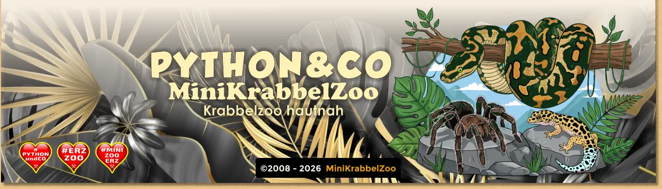 ©2008 - 2026  MiniKrabbelZoo PYTHON&CO MiniKrabbelZoo Krabbelzoo hautnah
