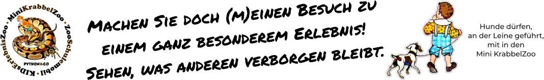 Hunde dürfen, an der Leine geführt, mit in den Mini KrabbelZoo
