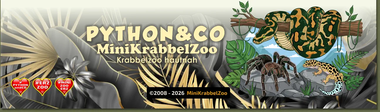 ©2008 - 2026  MiniKrabbelZoo PYTHON&CO MiniKrabbelZoo Krabbelzoo hautnah