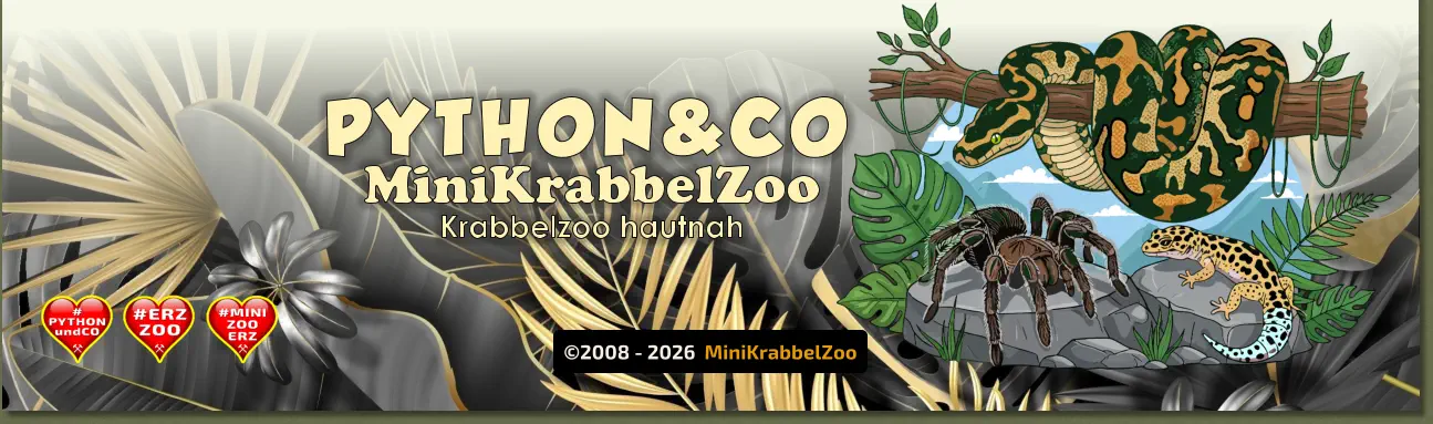 ©2008 - 2026  MiniKrabbelZoo PYTHON&CO MiniKrabbelZoo Krabbelzoo hautnah