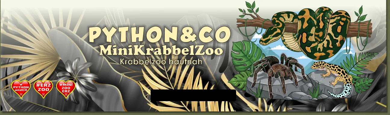 PYTHON&CO MiniKrabbelZoo Krabbelzoo hautnah