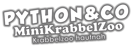 PYTHON&CO MiniKrabbelZoo Krabbelzoo hautnah
