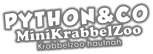 PYTHON&CO MiniKrabbelZoo Krabbelzoo hautnah