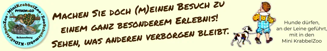 Hunde dürfen, an der Leine geführt, mit in den Mini KrabbelZoo