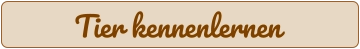 Tier kennenlernen