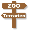ZOO Terrarien