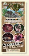 Flyer Hochformat