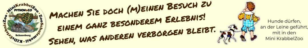 Hunde dürfen, an der Leine geführt, mit in den Mini KrabbelZoo