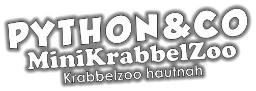 PYTHON&CO MiniKrabbelZoo Krabbelzoo hautnah
