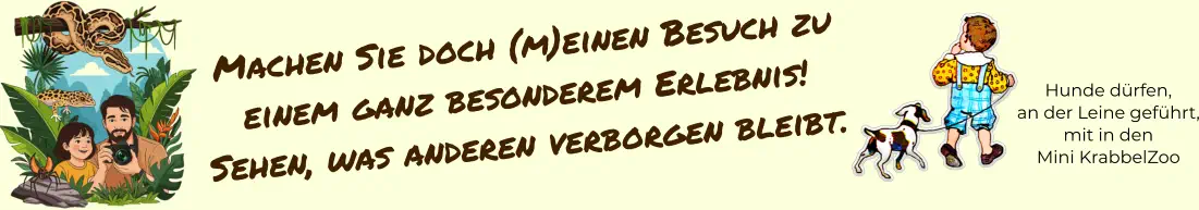 Hunde dürfen, an der Leine geführt, mit in den Mini KrabbelZoo