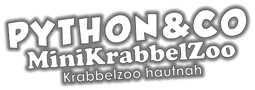 PYTHON&CO MiniKrabbelZoo Krabbelzoo hautnah
