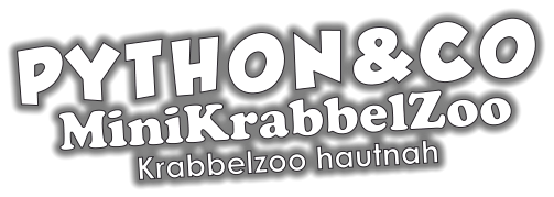 PYTHON&CO MiniKrabbelZoo Krabbelzoo hautnah
