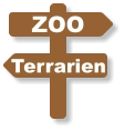 ZOO Terrarien