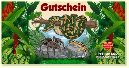 Ein Gutschein für alles