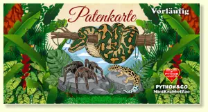 Vorläufige Patenkarte bis Original ausgestellt wurde