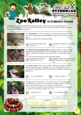ZooRalley bei PYTHON&CO MiniKrabbelZoo