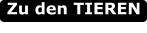 Zu den TIEREN